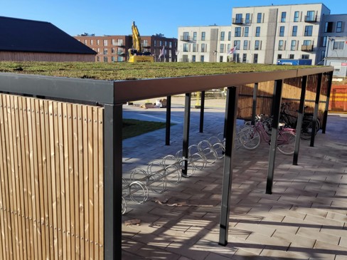 overdækning med sedum.jpg