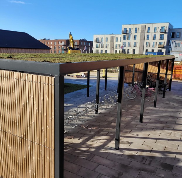 overdækning med sedum.jpg