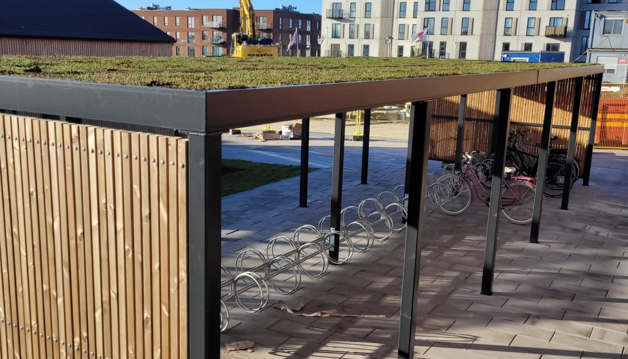 overdækning med sedum.jpg